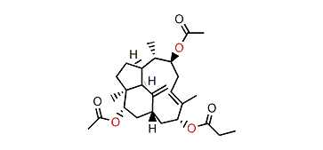 3a9b13a-Trihydroxy-11(12),15(17)-trinervitadiene diacetate propionate
